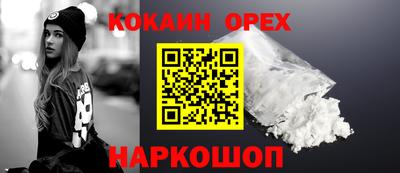 ПСИЛОЦИБИНОВЫЕ ГРИБЫ Новозыбков