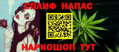 ПСИЛОЦИБИНОВЫЕ ГРИБЫ Новозыбков