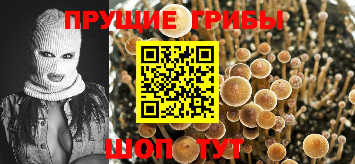 Ступино  Галлюциногенные грибы прущие грибы  Вход с VPN 